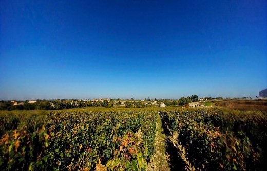 Panorama du vignoble de Saint-Émilion